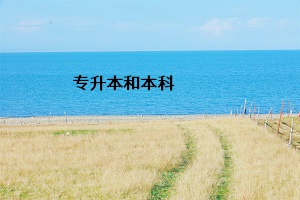 專升本和本科