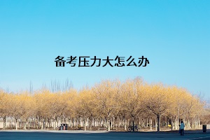 備考?jí)毫Υ笤趺崔k