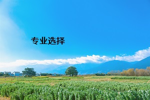 專(zhuān)業(yè)選擇
