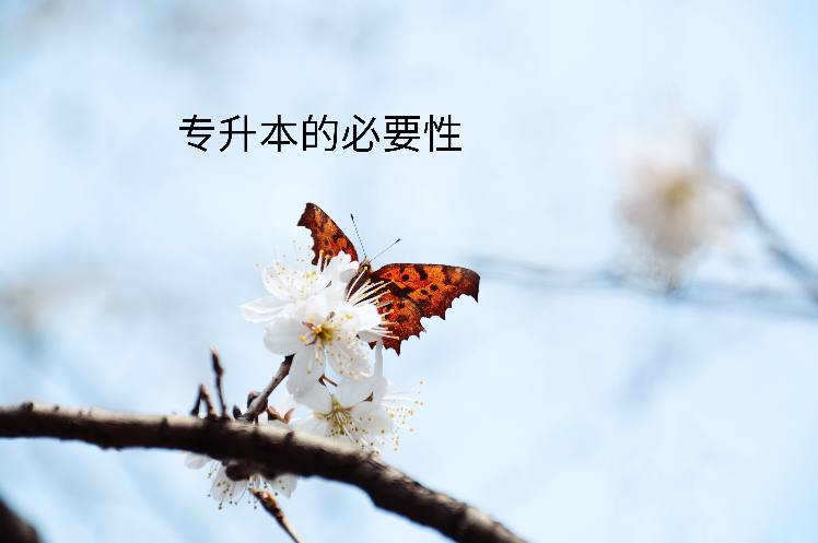 專升本必要性