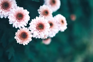 非全日制專升本的第一學(xué)歷是本科嗎？