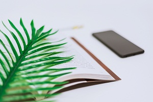 書本、手機和綠植