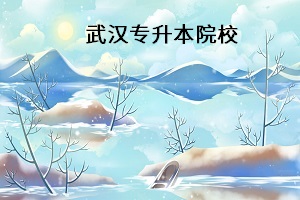 武漢專升本院校
