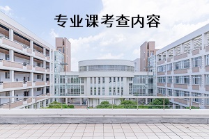 專業(yè)課考查內(nèi)容