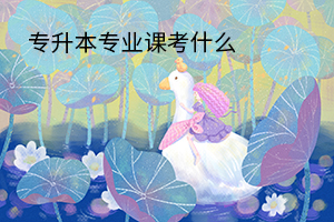 專升本專業(yè)課考什么