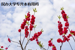 民辦大學專升本有用嗎