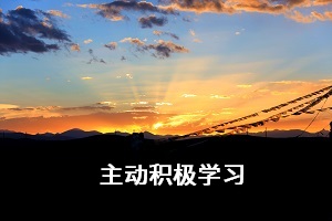 主動(dòng)積極學(xué)習(xí)