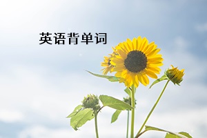 英語(yǔ)背單詞