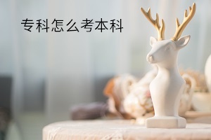 專(zhuān)科怎么考本科