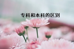 上好?？坪眠€是上本科好？?？坪捅究频淖畲蟛顒e在哪里？