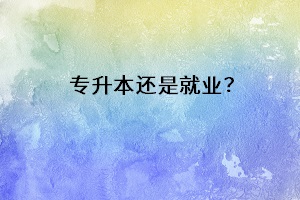 專升本還是就業(yè)？