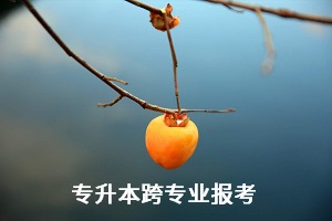 全日制統(tǒng)招專升本考試能跨專業(yè)報(bào)考嗎？有何限制？