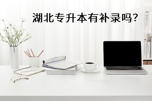 湖北專升本有補(bǔ)錄嗎