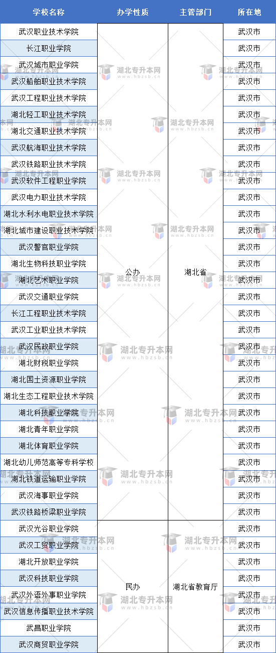 武漢市內(nèi)的?？茖W(xué)校