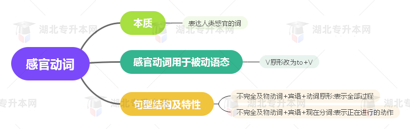 普通專升本英語(yǔ)要掌握多少種語(yǔ)法？25張思維導(dǎo)圖教會(huì)你！